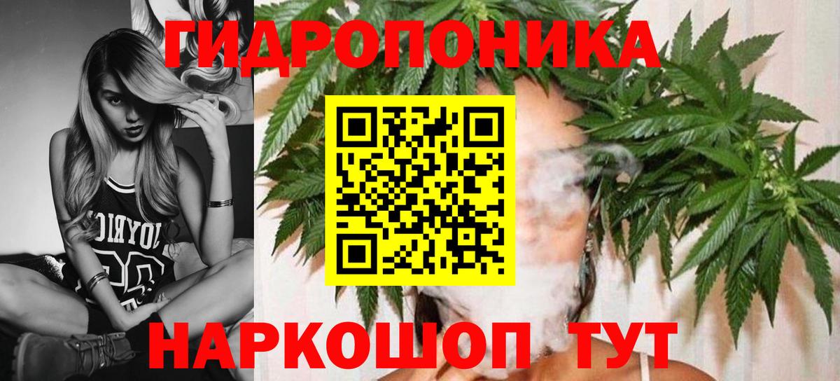 Шишки марихуана конопля Дюртюли